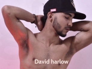 David_harlow