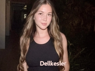Dellkesler