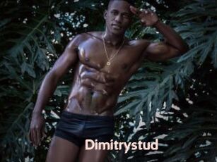 Dimitrystud