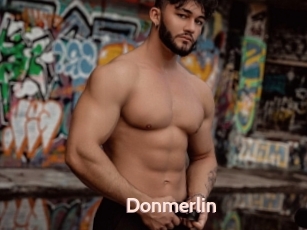 Donmerlin