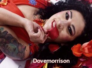 Dovemorrison