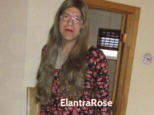 Elantra_Rose