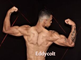 Eddycolt