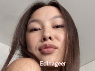 Edinageer