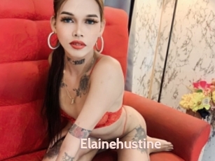 Elainehustine
