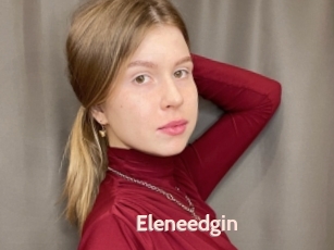 Eleneedgin