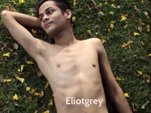 Eliotgrey