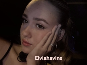 Elviahavins
