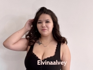 Elvinaalvey