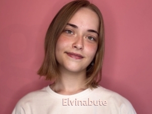 Elvinabute