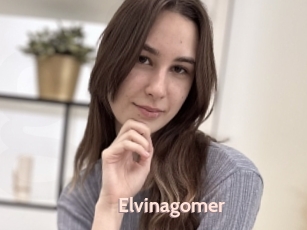 Elvinagomer