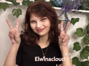 Elwinacloud