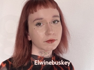 Elwinebuskey