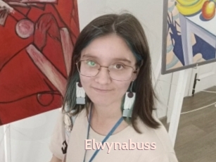 Elwynabuss