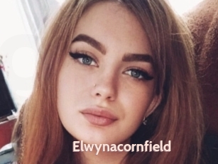 Elwynacornfield