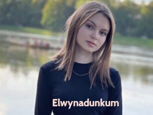 Elwynadunkum