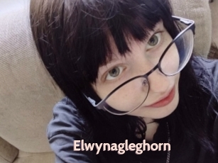 Elwynagleghorn