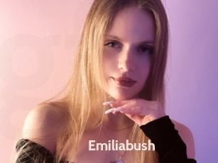 Emiliabush