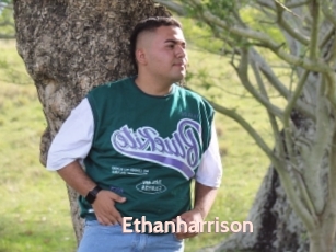 Ethanharrison