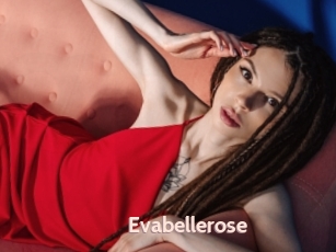 Evabellerose