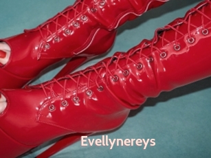 Evellynereys