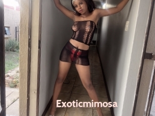 Exoticmimosa