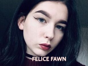 FELICE_FAWN