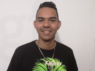 Felino