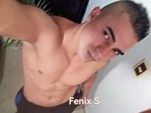 Fenix_S