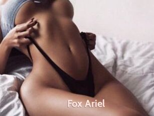 Fox_Ariel