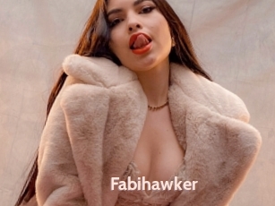 Fabihawker