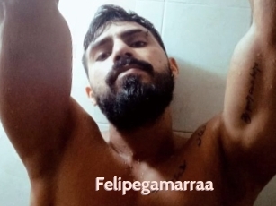 Felipegamarraa