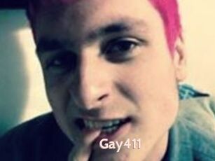 Gay411