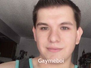 Gaymeboi
