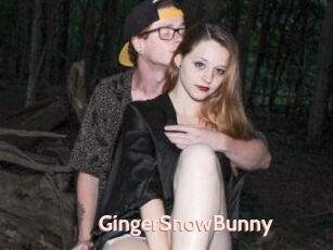 GingerSnowBunny