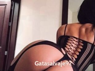 Gatasalvaje92