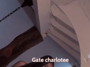 Gate_charlotee