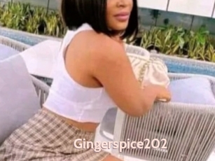 Gingerspice202