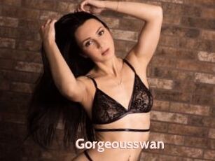 Gorgeousswan