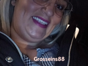 Grosseins88