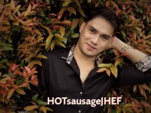 HOTsausageJHEF
