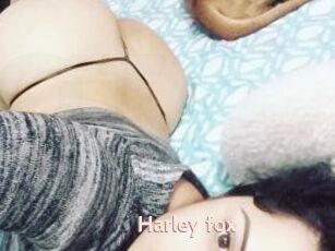 Harley_fox