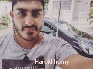 Harold_horny