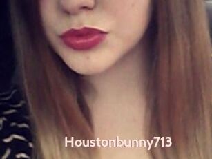 Houstonbunny713