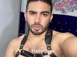 Hairyboyx