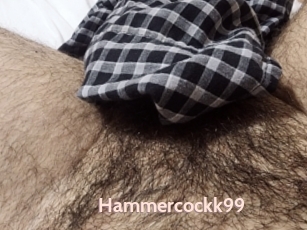Hammercockk99