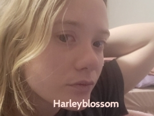 Harleyblossom