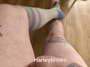 Harleybrown