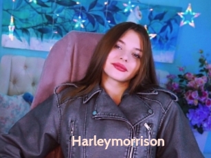 Harleymorrison