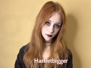 Harrietbigger